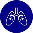 Pulmonology-Icon-blue